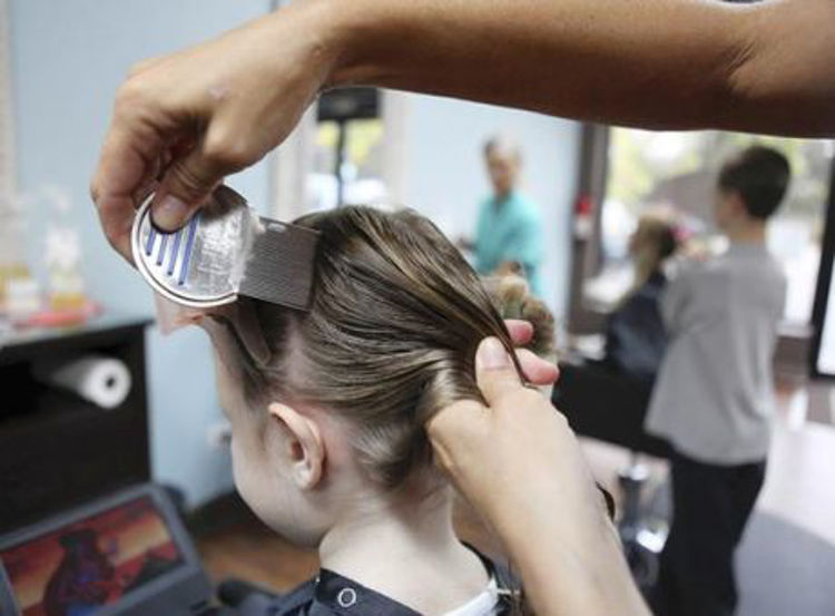 Mynd Nitty Gritty NitFree lúsakambur