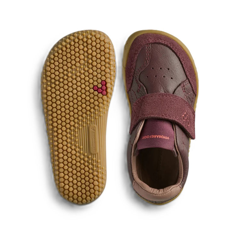 Mynd Vivobarefoot Gobi Sneaker Toddlers