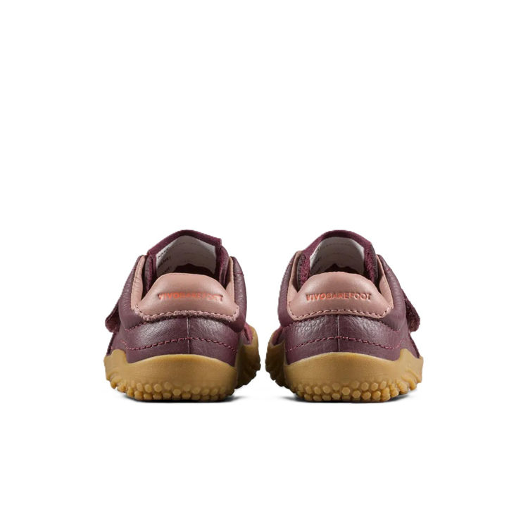 Mynd Vivobarefoot Gobi Sneaker Toddlers