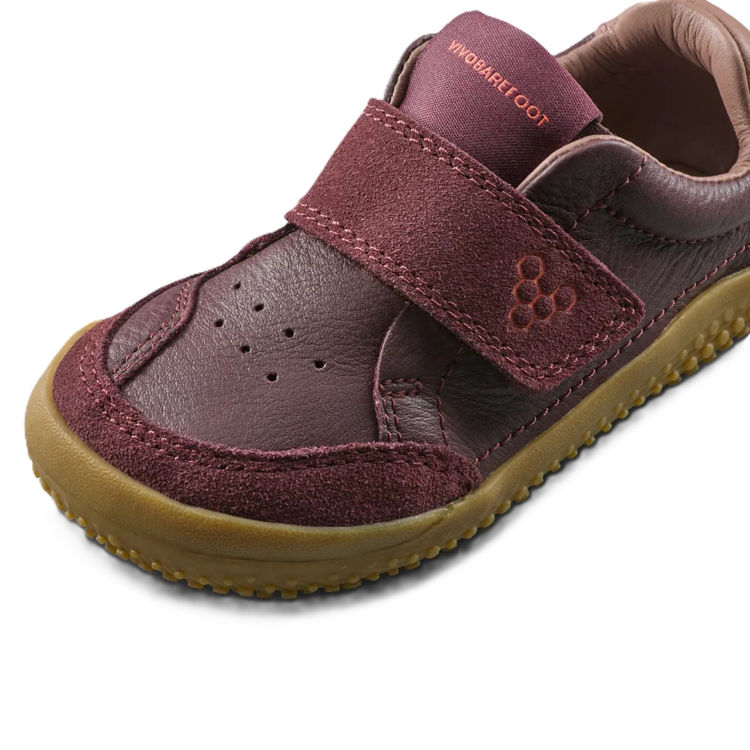 Mynd Vivobarefoot Gobi Sneaker Toddlers